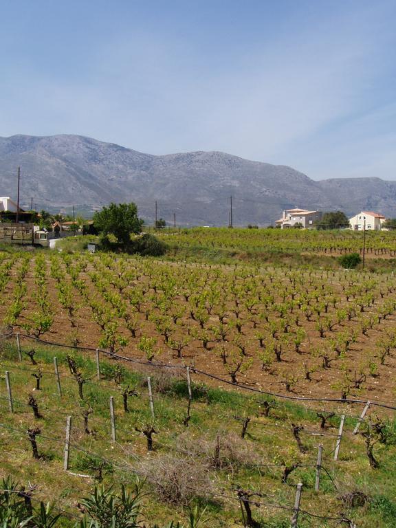 Christina Villas- Minoan Inland Pentamodi Екстер'єр фото
